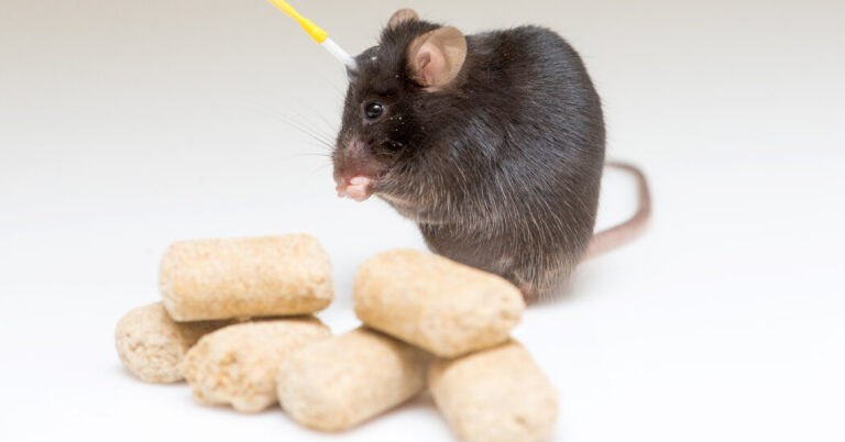 00sci-hunger-01-cqlg-facebookJumbo.jpg