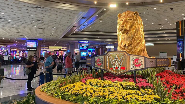 mgm-lion.jpg